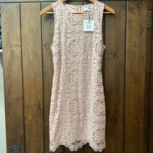 Beautiful, soft rose lace dress never been worn
